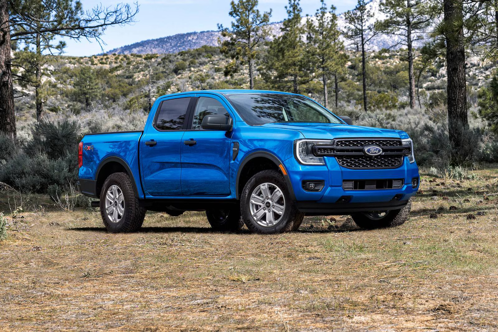 A blue ford ranger sitting in a forest.